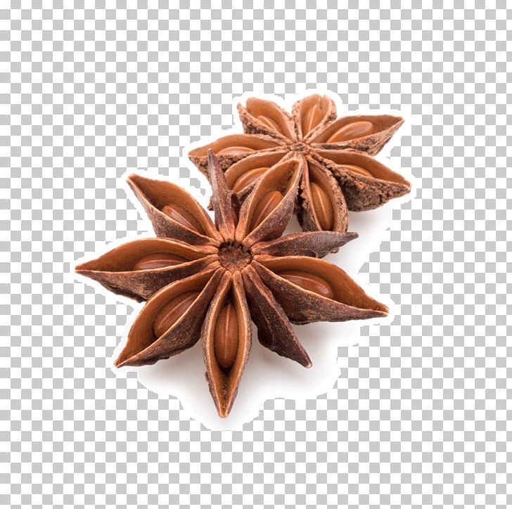 Spice Star Anise Tea Flavor PNG, Clipart, Anise, Aniseed, Depositphotos, Drink, Extract Free PNG Download