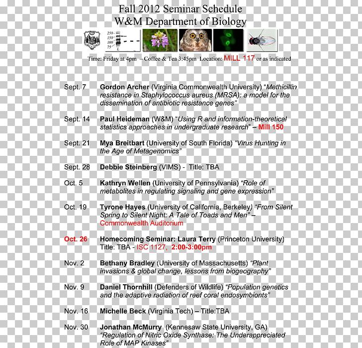 Web Page Screenshot Line Font PNG, Clipart, Area, Art, Document, English Renaissance Theatre, Line Free PNG Download