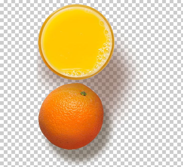Clementine Orange Juice Orange Drink Apple Juice PNG, Clipart, Apple Juice, Clementine, Mango Juice, Orange Drink, Orange Juice Free PNG Download