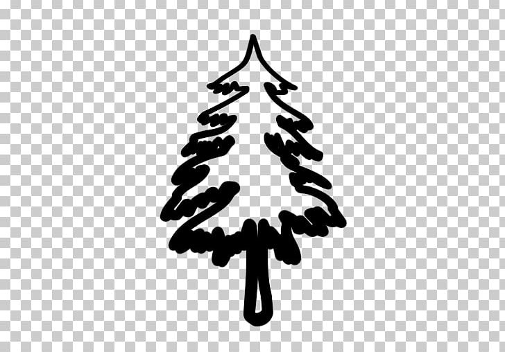 Evergreen Tree Pine PNG, Clipart, Black And White, Clipart, Clip Art, Drawing, Evergreen Free PNG Download