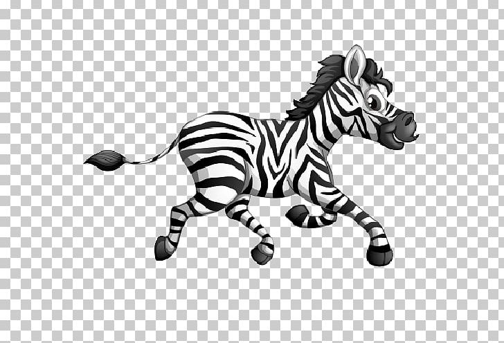 Horse Zebra PNG, Clipart, Animal Figure, Animals, Baby Zebra, Big Cats, Black And White Free PNG Download