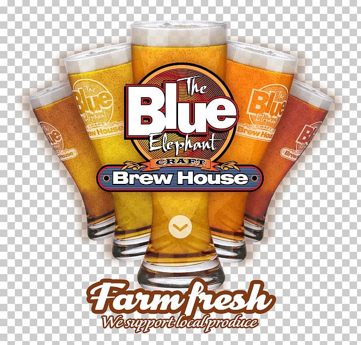Beer Glasses Blue Elephant Craft Brew House Food Restaurant PNG, Clipart, Beer, Beer Glass, Beer Glasses, Blue Whale, Cetacea Free PNG Download