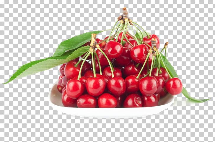 Cherry Organic Food Cranberry PNG, Clipart, Berry, Cherries, Cherry Blossom, Cherry Blossoms, Cherry Blossom Tree Free PNG Download