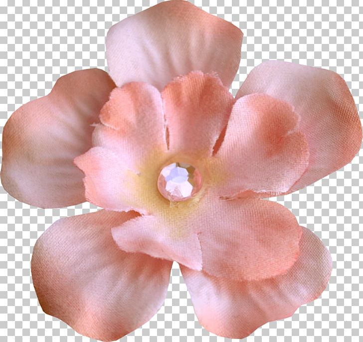 Flower Home Gratis PNG, Clipart, Brooch, Clothing, Data Compression, Flower, Gratis Free PNG Download