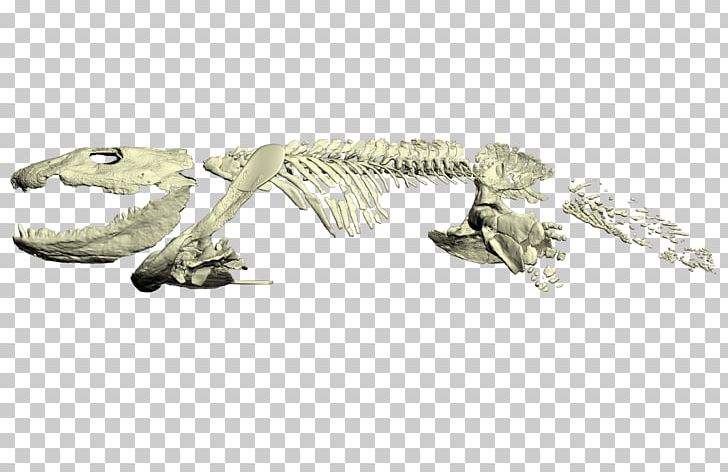 Ichthyostega Reptile Late Devonian Extinction Amphibian Tetrapods PNG, Clipart, 3 D Model, Acanthostega, Amphibian, Animals, Biomechanics Free PNG Download