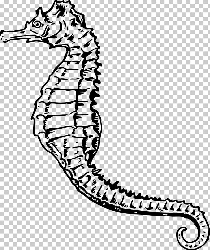 Seahorse PNG, Clipart, Animals, Area, Artwork, Black And White, Computer Icons Free PNG Download