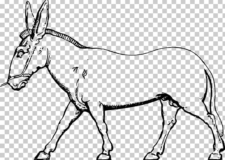 Mule Donkey Foal Horse Bridle PNG, Clipart, Animal Farm, Animal Figure, Animals, Black And White, Bridle Free PNG Download