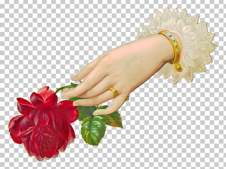Paper Flower Hand PNG, Clipart, Blog, Cartoon, Chinese Wedding, Cut Flowers, Drawing Free PNG Download