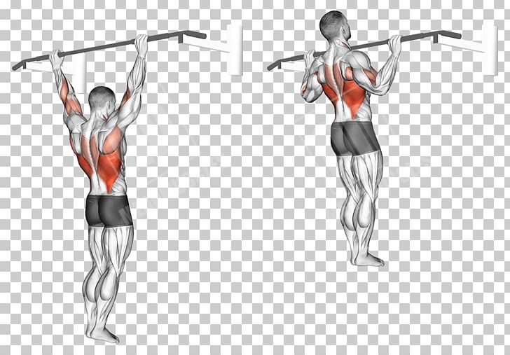 Pull-up Physical Fitness Chin-up Row Exercise PNG, Clipart, Abdomen, Angle, Arm, Exercise, Fitness Centre Free PNG Download