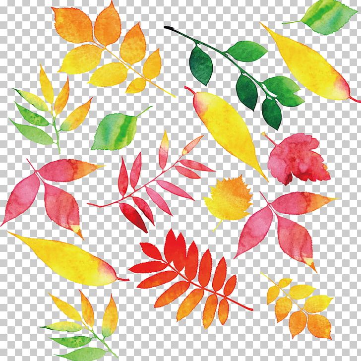 Autumn Leaf Color PNG, Clipart, Autumn, Branch, Clip Art, Color Splash, Design Free PNG Download