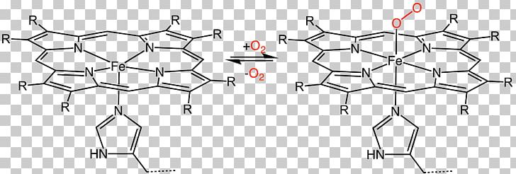 Hemeprotein Heme B Porphyrin Heme A PNG, Clipart, Angle, Area, Bind, Circle, Coordination Complex Free PNG Download