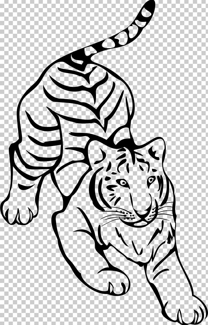 Tiger Line Art Drawing PNG, Clipart, Animals, Art, Big Cats, Black, Black And White Free PNG Download