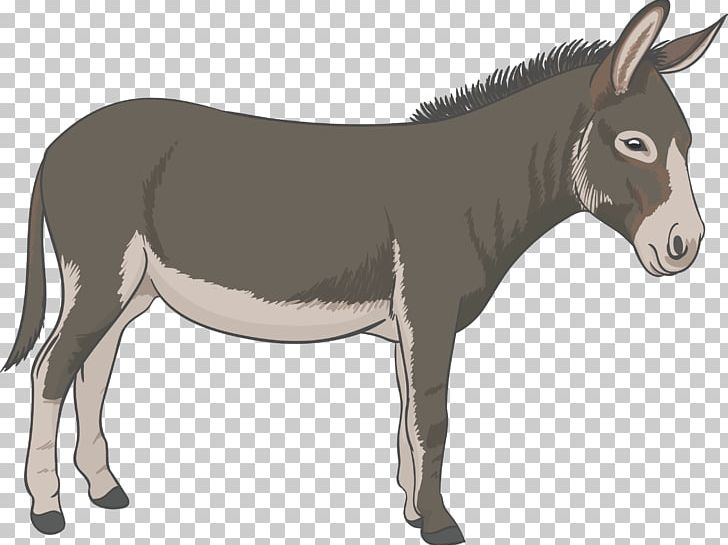 Donkey PNG, Clipart, Animal Donkey, Animals, Cartoon Animals, Donkey Face, Donkeys Free PNG Download