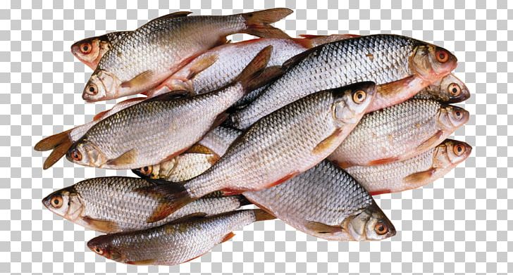 Fish Food PNG, Clipart, Animals, Animal Source Foods, Atlantic Herring, Carp, Computer Icons Free PNG Download