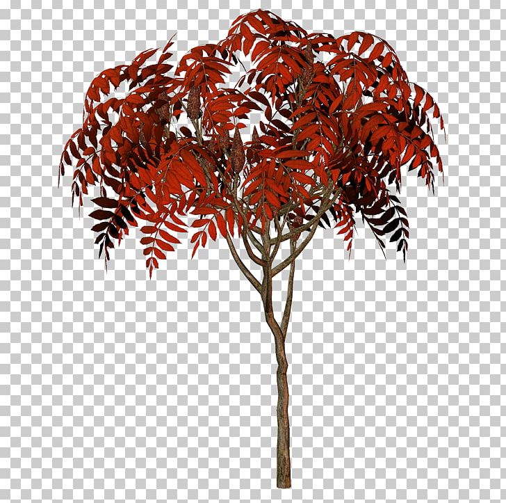 Twig Leaf PNG, Clipart, Aga, Agac Resimleri, Branch, Leaf, Plant Free PNG Download