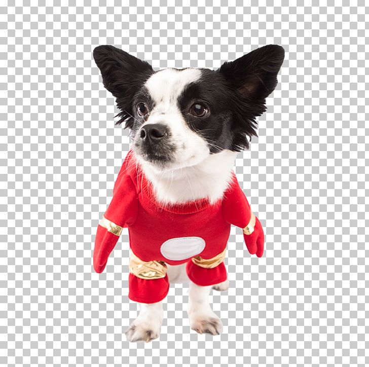 Dog Breed Chihuahua Puppy Costume Clothing PNG, Clipart, Animal, Animal Rescue Group, Animals, Carnivoran, Chihuahua Free PNG Download