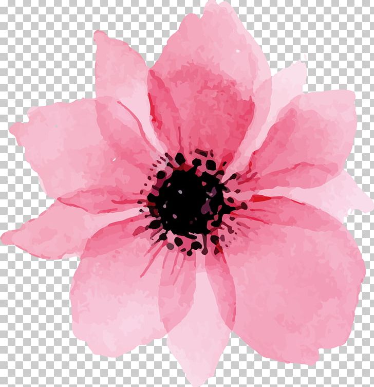 Euclidean PNG, Clipart, Art, Cartoon Hand Drawing, Cut Flowers, Dahlia, Decorate Free PNG Download