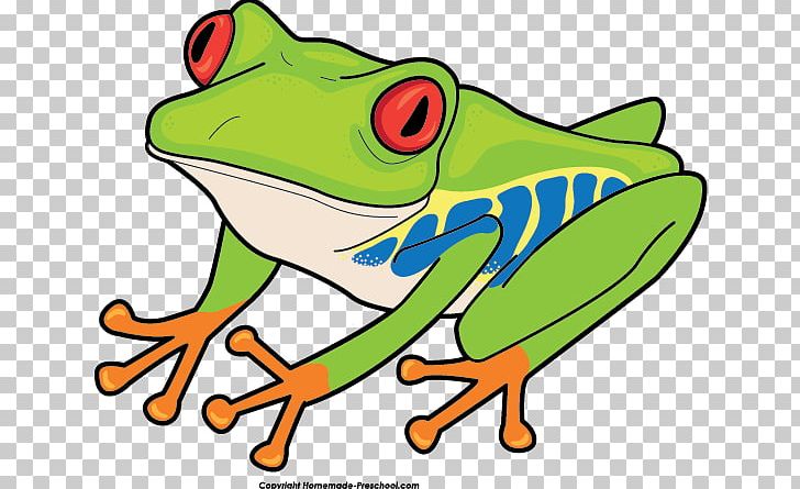 Red-eyed Tree Frog Australian Green Tree Frog PNG, Clipart, Agalychnis, American Green Tree Frog, Amphibian, Animal, Artwork Free PNG Download