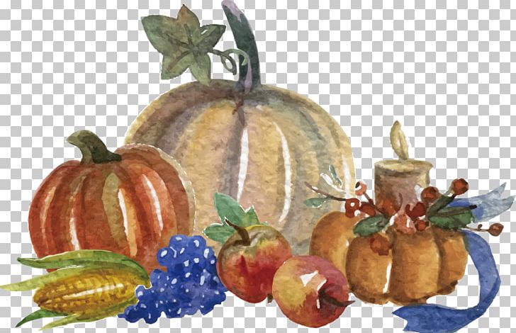 Thanksgiving Dinner Vecteur Euclidean Christmas PNG, Clipart, Cucurbita, Download, Food, Food Drinks, Fruit Free PNG Download