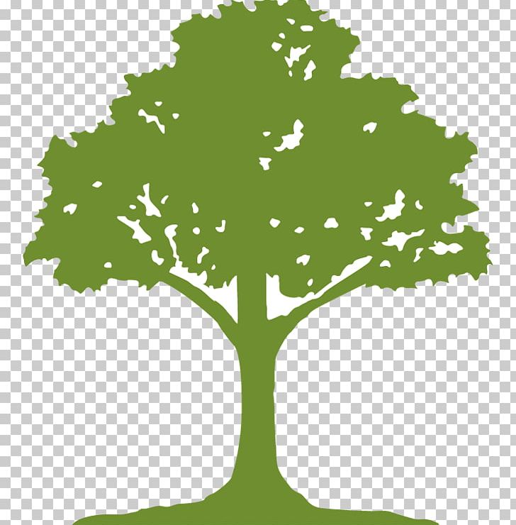 Tree Mikes Clearwater Harvesting Inc. Paper Earth Root PNG, Clipart, Branch, Earth, Grass, Green, Leaf Free PNG Download