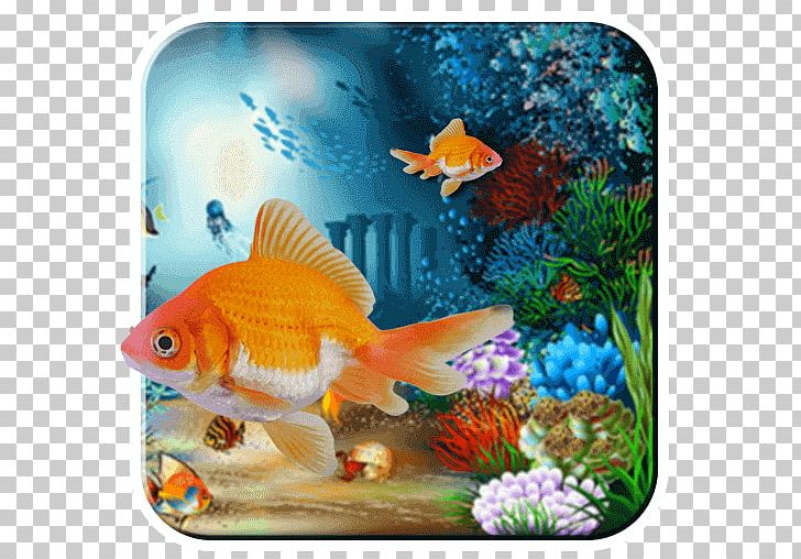 Desktop Sea Underwater Nature PNG, Clipart, 4k Resolution, Aquariu, Bony Fish, Clownfish, Coral Reef Fish Free PNG Download