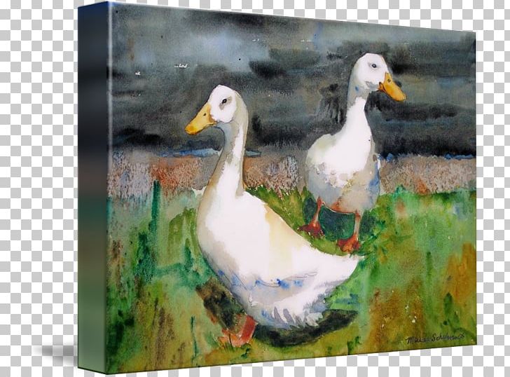 Duck Goose Watercolor Painting American Pekin PNG, Clipart, American Pekin, Anatidae, Animal, Animals, Art Free PNG Download