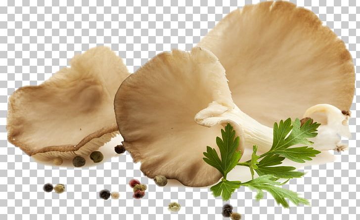 Oyster Mushroom Food Edible Mushroom PNG, Clipart, Edible, Edible Mushroom, Food, Fungus, Ingredient Free PNG Download