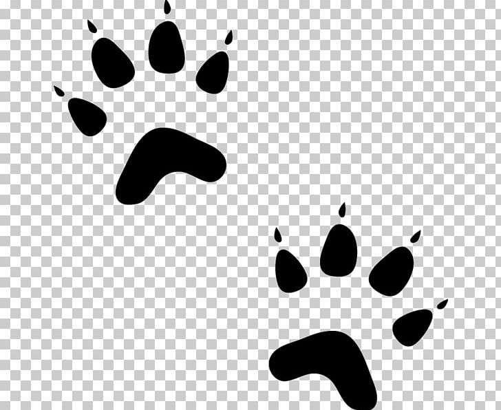 Paw Bear Sphynx Cat Dog Pet Sitting PNG, Clipart, Animal, Animals, Animal Track, Bear, Black Free PNG Download