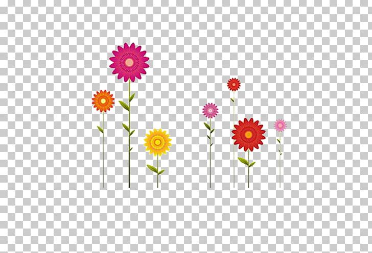 Transvaal Daisy Flower Drawing Common Daisy Illustration PNG, Clipart, Cartoon, Chrysanths, Color, Color Flowers, Color Pencil Free PNG Download