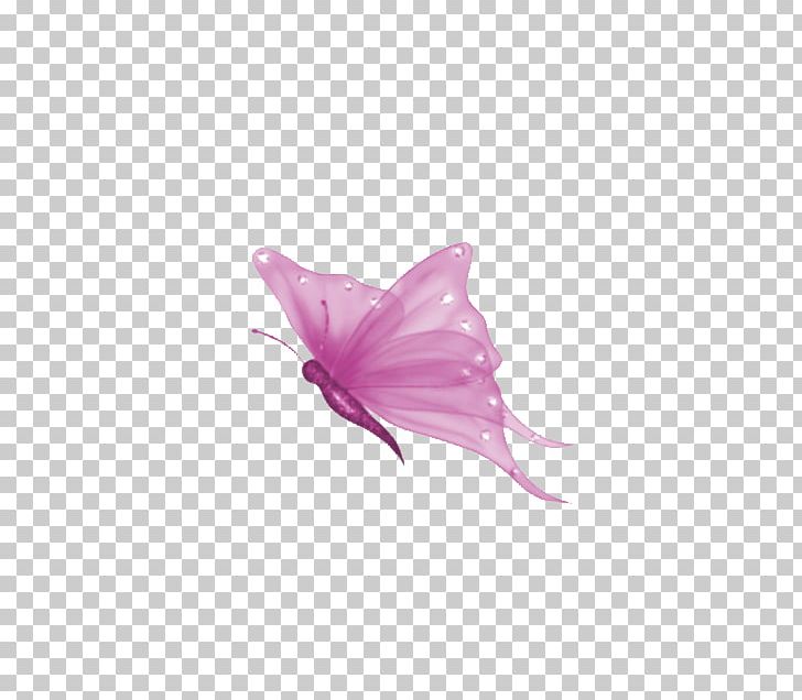 Butterfly Computer Icons PNG, Clipart, Animation, Butterfly, Clip Art, Computer Icons, Desktop Wallpaper Free PNG Download