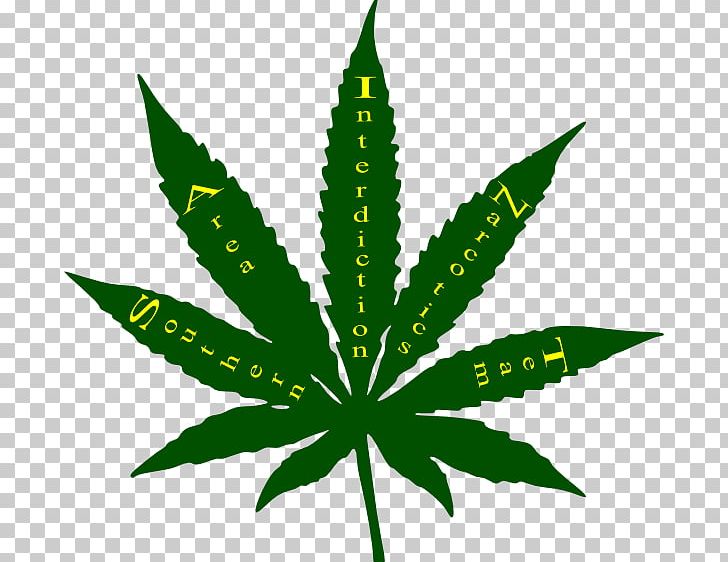 Cannabis Ruderalis Marijuana Leaf Hemp PNG, Clipart, Cannabis, Cannabis Cultivation, Cannabis Ruderalis, Cannabis Smoking, Hashish Free PNG Download
