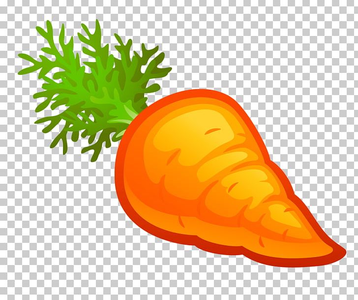 Carrot Vegetable Orange S.A. Fruit Tangerine PNG, Clipart, Baby Carrot, Carrot, Carrot Cake, Carrot Juice, Citrus Free PNG Download