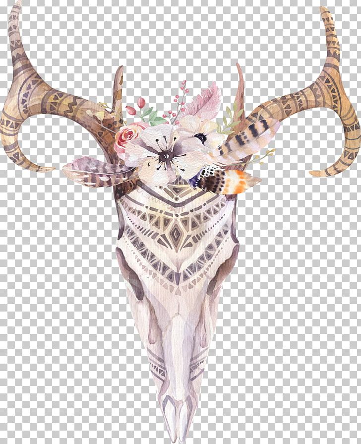 Cattle Boho-chic Skull Watercolor Painting Photography PNG, Clipart, Antler, Bohochic, Deer, Drawing, Feather Free PNG Download