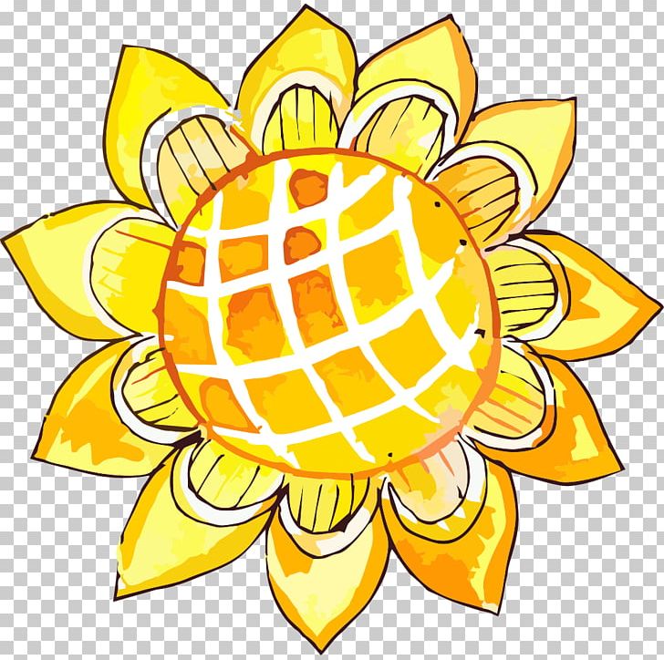 Common Sunflower PNG, Clipart, Artwork, Cartoon, Circl, Flower, Flowers Free PNG Download