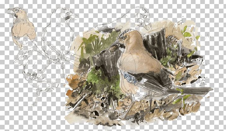 Eurasian Jay Bird Acorn Crow Family PNG, Clipart, Acorn, Animal, Animals, Beak, Bird Free PNG Download