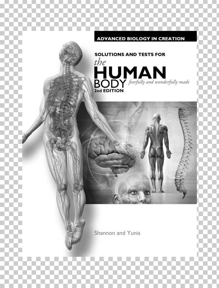 Exploring Creation With Human Anatomy And Physiology Exploring Creation With Biology Human Body PNG, Clipart,  Free PNG Download