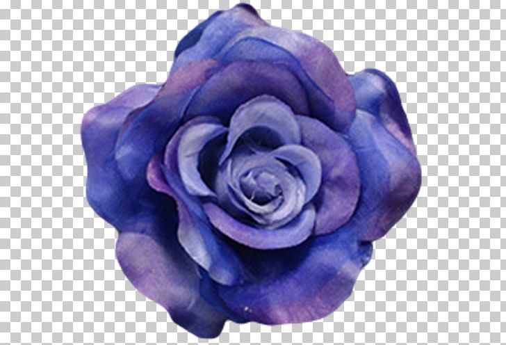 Flower Blue Rose Petal PNG, Clipart, Blue, Blue Rose, Cobalt Blue, Cut Flowers, Floribunda Free PNG Download