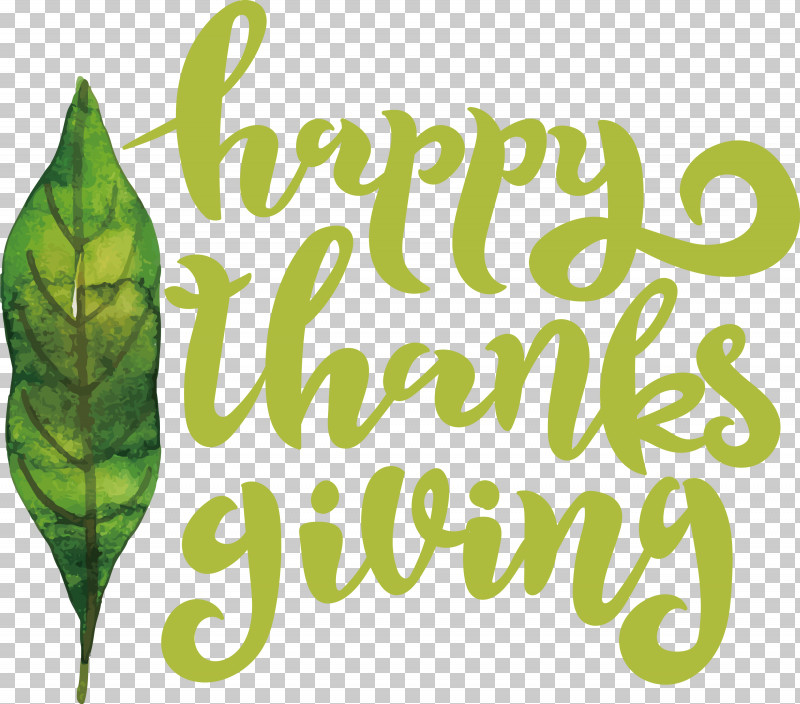 Happy Thanksgiving PNG, Clipart, Fruit, Green, Happy Thanksgiving, Herbal Medicine, Leaf Free PNG Download