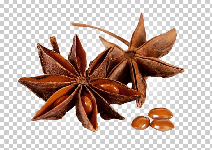 Spice Star Anise Foeniculum Vulgare Flavor PNG, Clipart, Anice, Anise, Cinnamon, Cooking, Essential Oil Free PNG Download