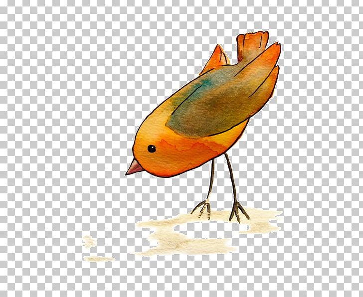 European Robin Bird Beak Feather PNG, Clipart, Animals, Art Painting, Beak, Bird, Cartoon Bird Free PNG Download