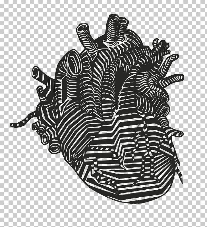 Heart Anatomy Drawing Vein PNG, Clipart, Anatomy, Artery, Black, Black And White, Blood Vessel Free PNG Download