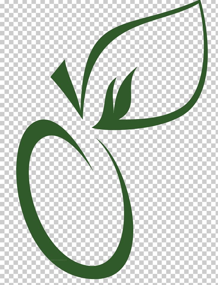 Leaf Green Plant Stem Flower PNG, Clipart, Artwork, Brand, Circle, Flora, Flower Free PNG Download