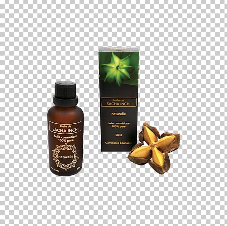 Plukenetia Volubilis Sacha Inchi Oil Vegetable Oil Acid Gras Omega-3 PNG, Clipart, Cosmetics, Health, Herbal Tea, Huile Alimentaire, Lao Free PNG Download