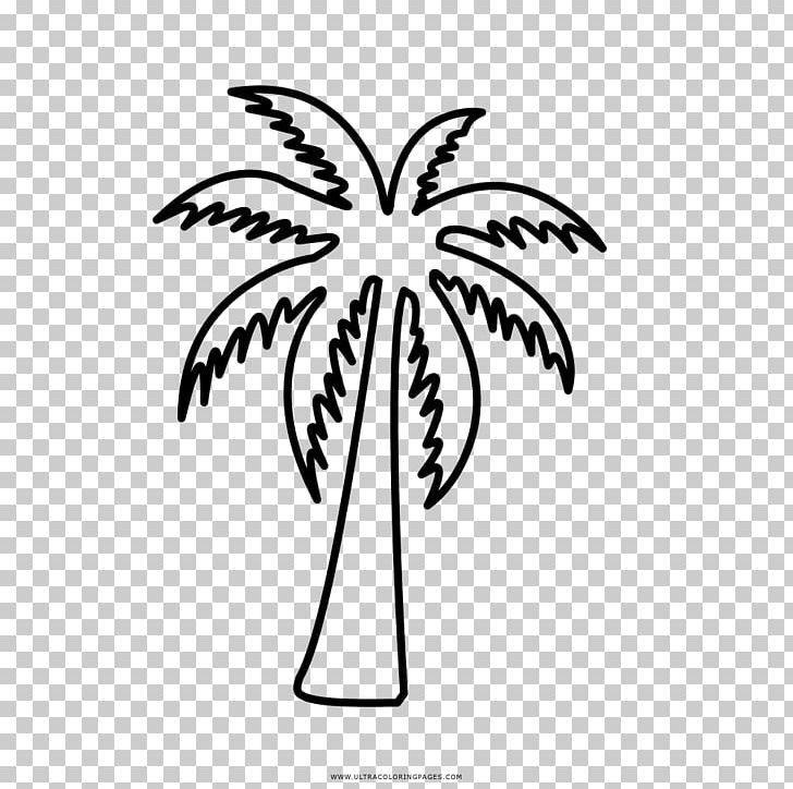 Coloring Book Drawing Black And White Line Art PNG, Clipart, Area, Arecaceae, Artwork, Black And White, Branch Free PNG Download