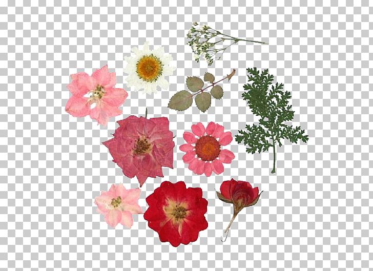 Pressed Flower Craft Paper Floral Design Flower Bouquet PNG, Clipart, Artificial Flower, Collage, Craft, Cut Flowers, Drawing Flowers Free PNG Download