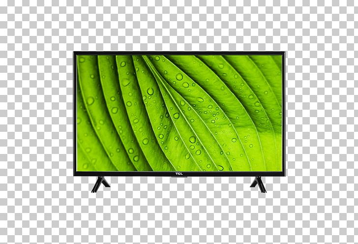 TCL 32D100 32" 720p 60Hz 3xhdmi LED TCL 32S305 32-Inch 720p Roku Smart LED TV (2017 Model) LED-backlit LCD High-definition Television PNG, Clipart, 720p, Grass, Green, Highdefinition Television, Jetaudio Free PNG Download
