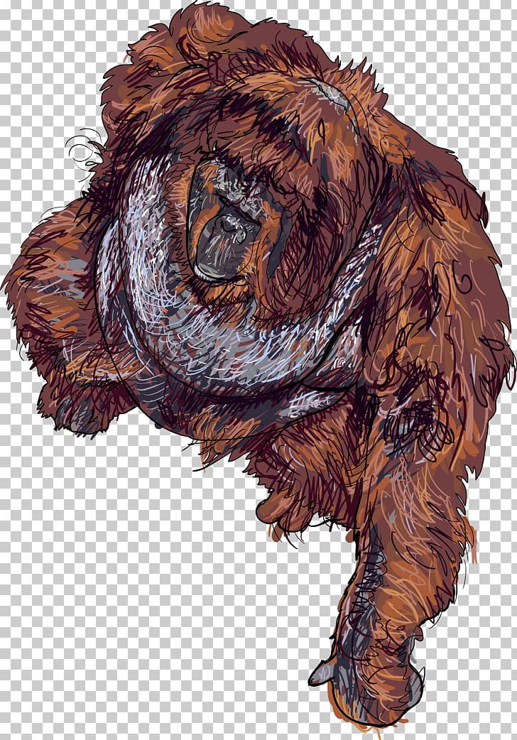 Bornean Orangutan Primate PNG, Clipart, Animal, Animals, Ape, Bear, Bornean Orangutan Free PNG Download