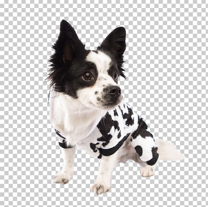 Dog Breed Puppy Costume Clothing PNG, Clipart, Animals, Breed, Cari, Carnivoran, Clothing Free PNG Download