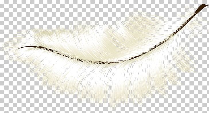Eyebrow Feather PNG, Clipart, Animals, Eyebrow, Eyelash, Feather Free PNG Download