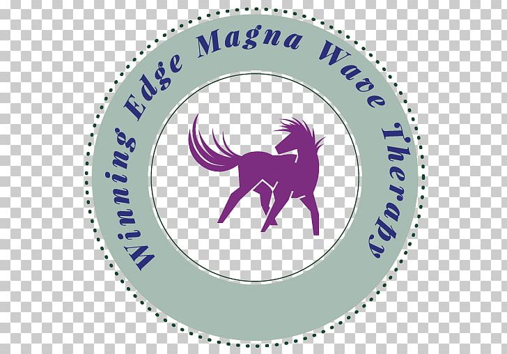 Horse Pulsed Electromagnetic Field Therapy Physician Arthritis PNG, Clipart, Animals, Arthritis, Electromagnetic Field, Fictional Character, Horse Free PNG Download